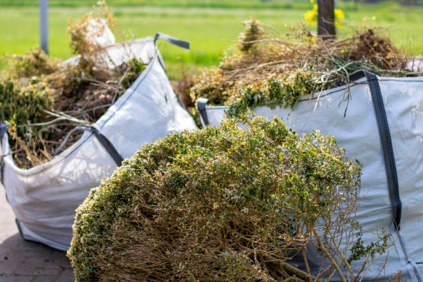 Best Basement Cleanout Services  in Luther, OK